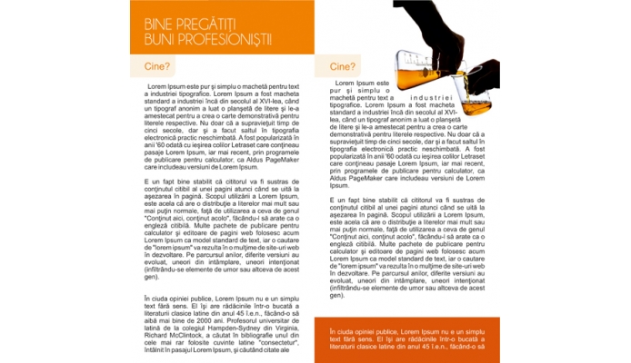 Design Flyer - Bine pregatiti 2.jpg